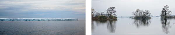 Brown Bluff Weddell Sea 031 20140101  Avoca Island 216 by Tina Freeman, Image 1.