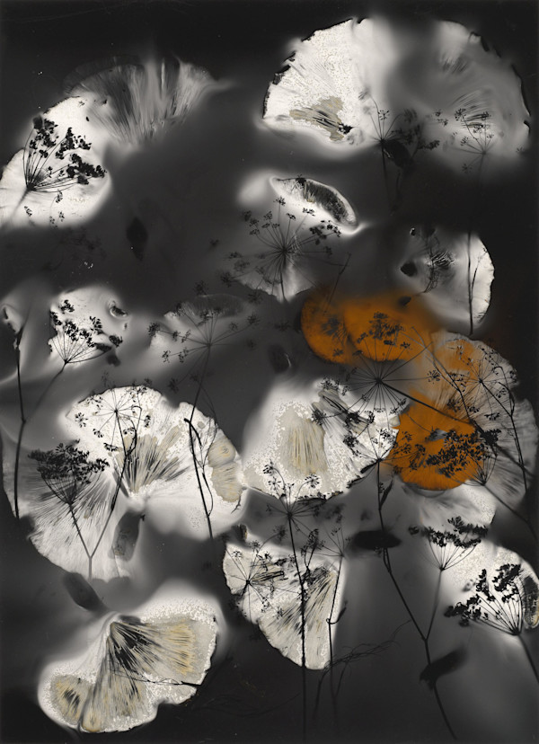 Carry a Torch by Madge Evers, Image 1.