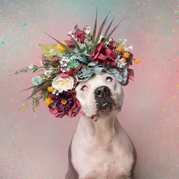 Halo by Sophie Gamand, Image 1.