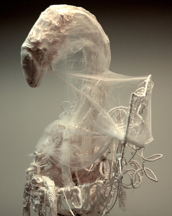 Mutated Swan After a Sentimental Breakup by Pablo Garcia Lopez, Image 1.