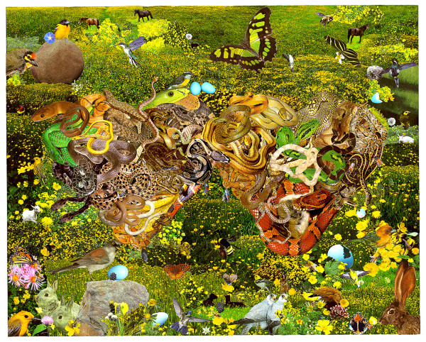 The Birds & The Bees: Hearts (Snakes) by Marc Alain, Image 1.