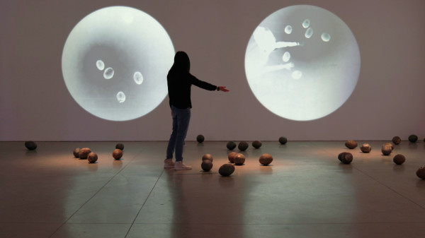 Vacuoles: Bioremediating Cultures by Maru Garcia, Image 1.
