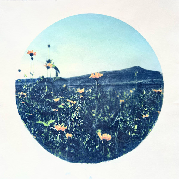 Nothing But Flowers by Epiphany Knedler, Image 1.