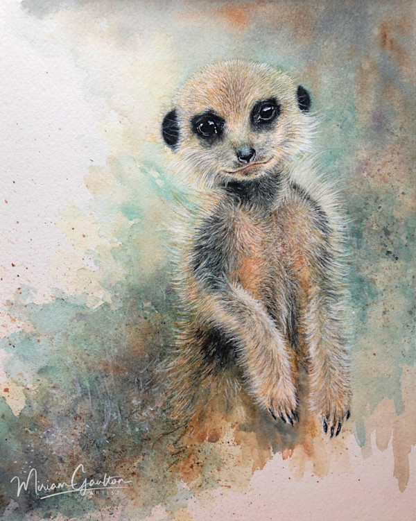 Pup’s Perspective - Little Meerkat by Miriam Gaulton