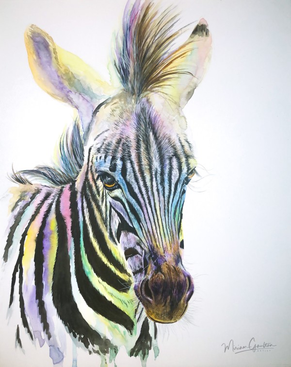 Rainbow Zebra by Miriam Gaulton