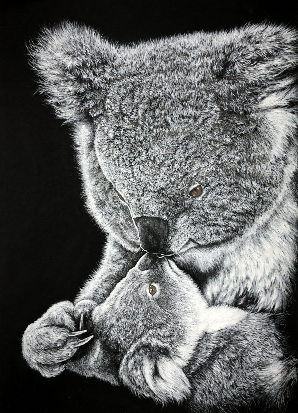 ‘Tender kisses’ - Koala mum and bub by Miriam Gaulton