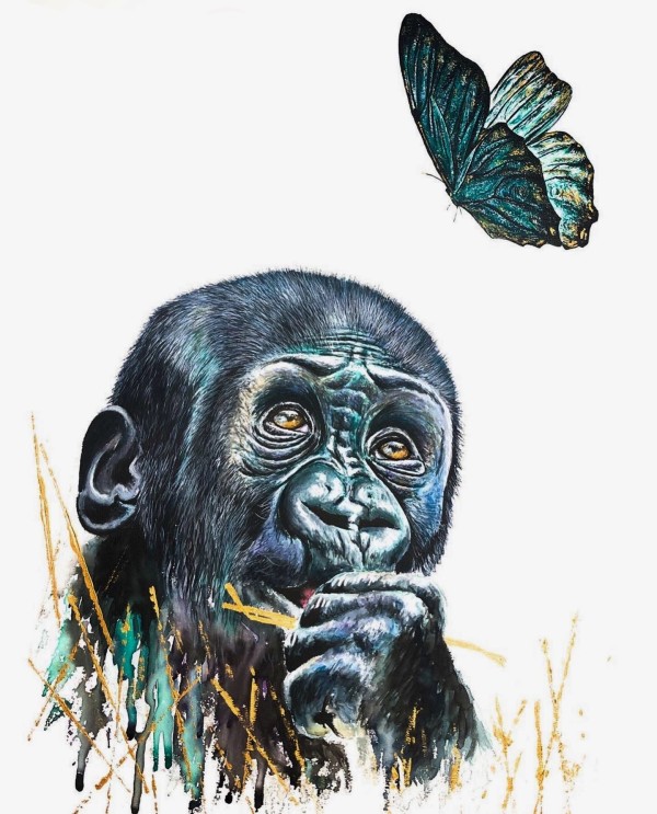 Baby Gorilla and his butterfly friend by Miriam Gaulton