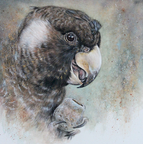 'Baudin's Bounty' by Miriam Gaulton, Image 1.
