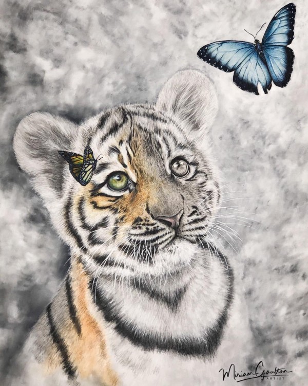Tiger cub and butterfly friend by Miriam Gaulton