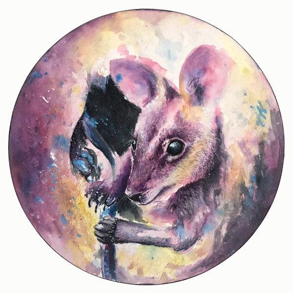 'Joey Jammies' by Miriam Gaulton