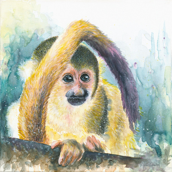 'A Tail of Curiosity' - Squirrel Monkey by Miriam Gaulton