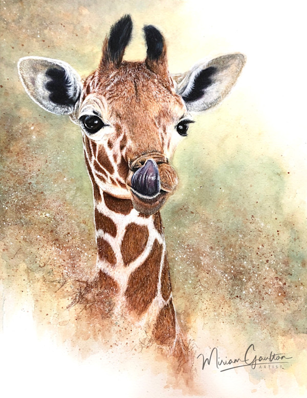 A Taste of the Savanna by Miriam Gaulton