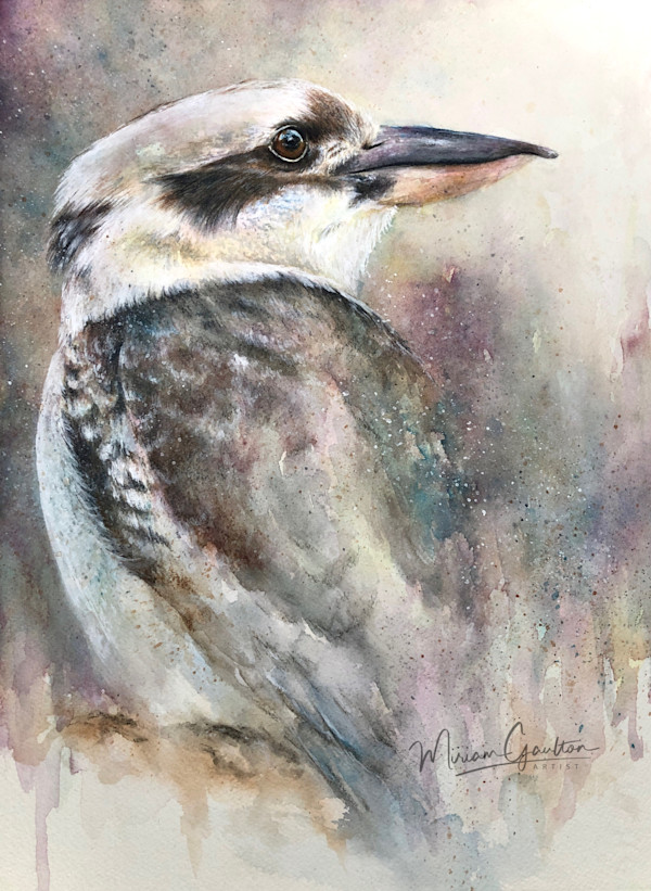'Before the Turning' - Kookaburra by Miriam Gaulton, Image 5.