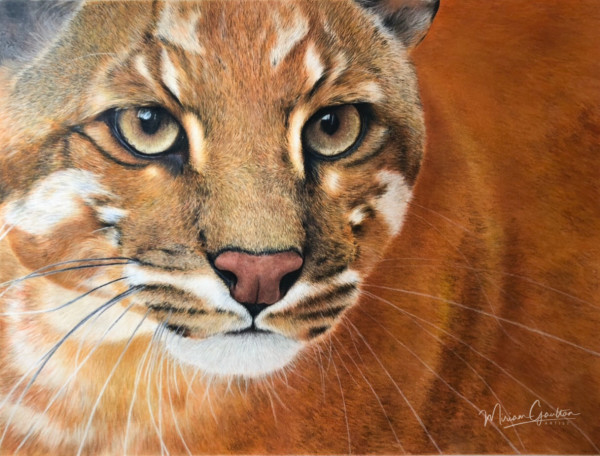'Katali' by Miriam Gaulton