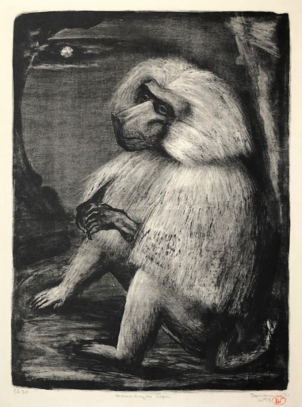 Hamadryas Ape by Benton Spruance - American, 1904-1967