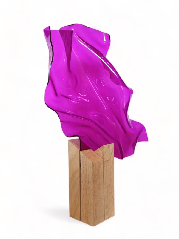 Magenta Metamorphosis II by Cari Cohen