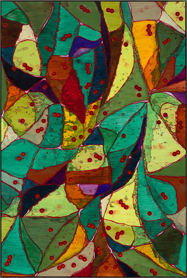 Infusion by Sean McDowell
