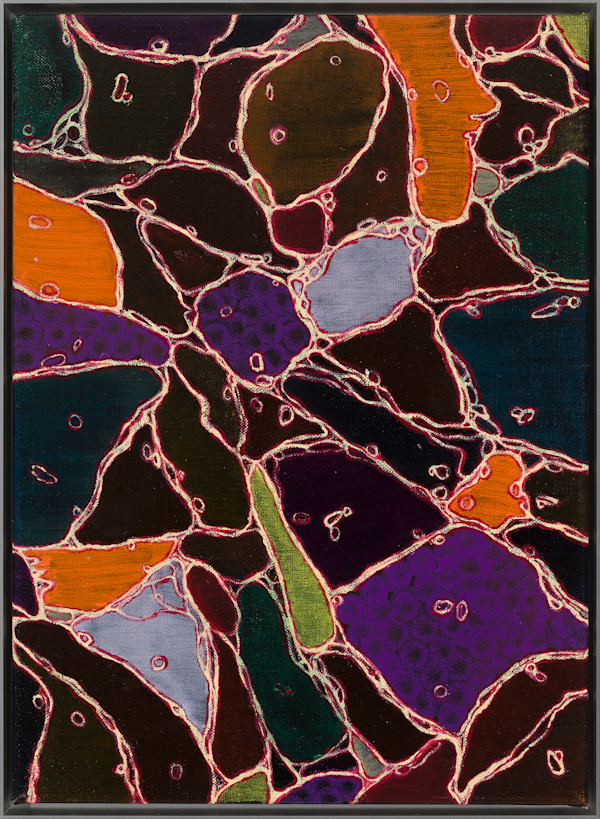 Membrane by Sean McDowell
