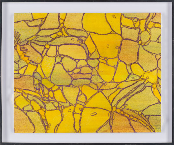 From Apoptosis #4 by Sean McDowell