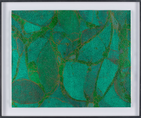From Chlorophyll #2 by Sean McDowell