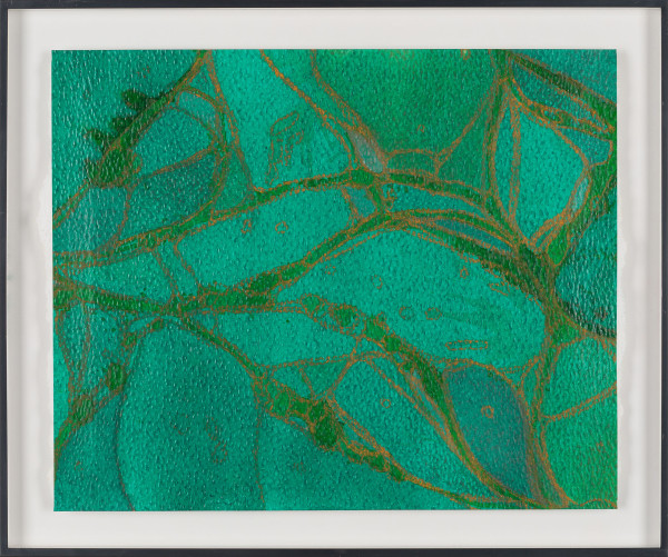 From Chlorophyll #3 by Sean McDowell