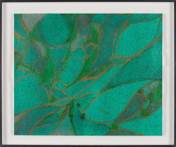 From Chlorophyll #5 by Sean McDowell