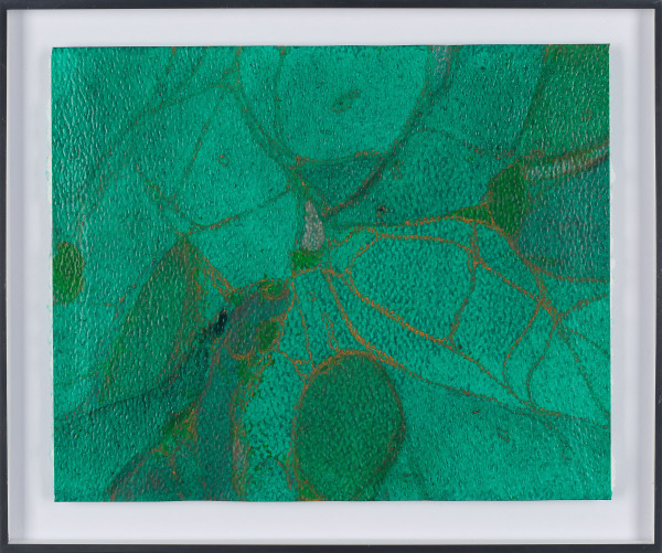 From Chlorophyll #6 by Sean McDowell