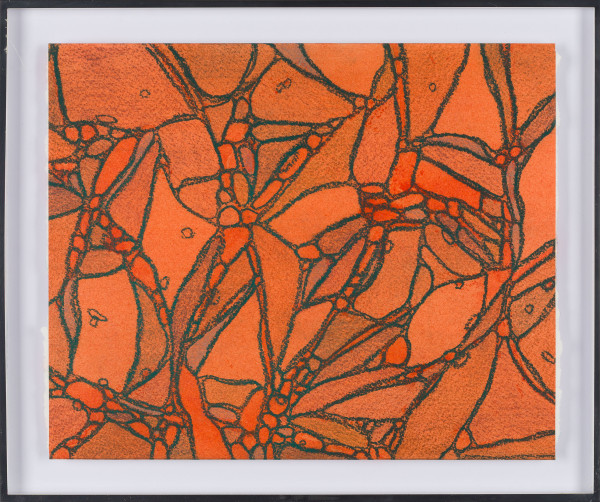 From Chromatophores #1 by Sean McDowell