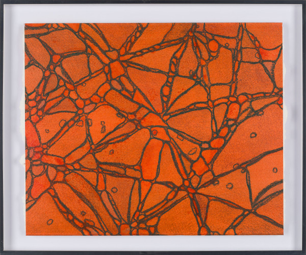 From Chromatophores #4 by Sean McDowell