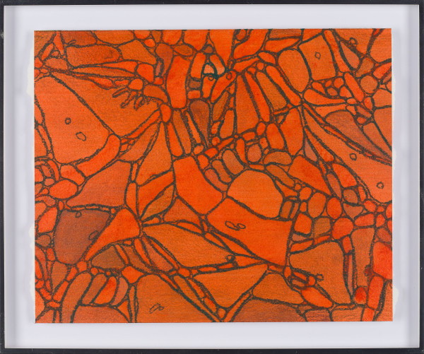 From Chromatophores #5 by Sean McDowell