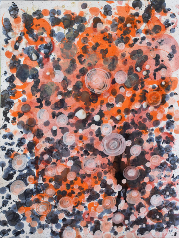 Echolocution by Erin Parish