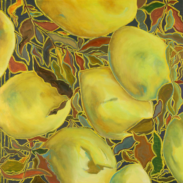 Fractured Abundance by Amanda Scott