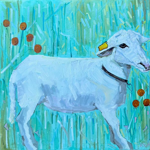 Sheep in White by Amanda Scott