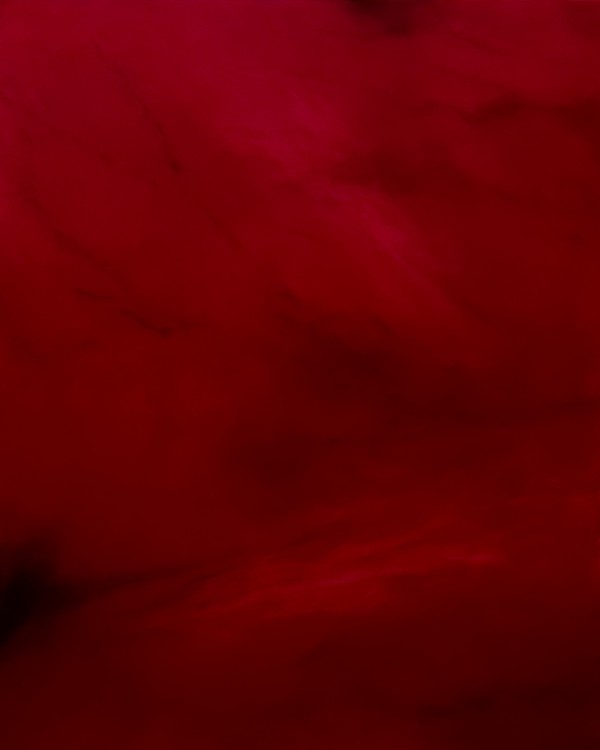 An Apparent Lack of Ceremony