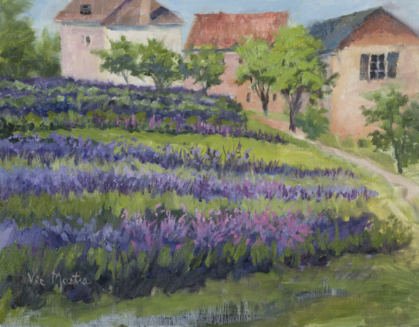 Lavender in Southern France - Lherme by Vic Mastis