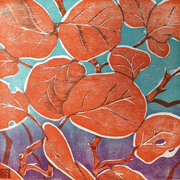 Coccaloba Sunset (sea grape) by Polly Perkins