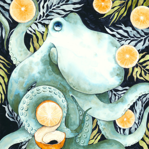 The Octopus & His Oranges by Kara Voorhees Reynolds