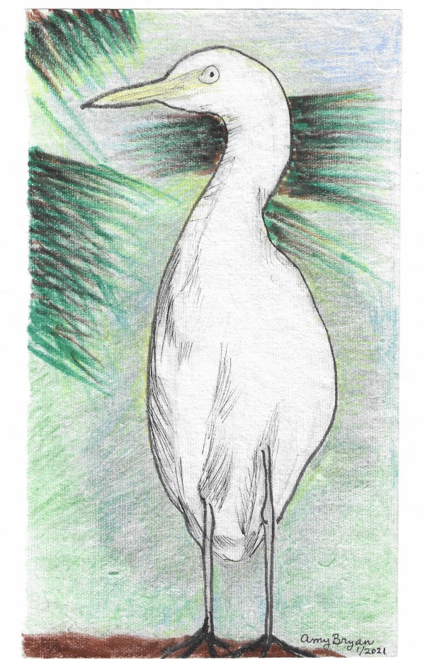 Egret Standing by Amy Bryan