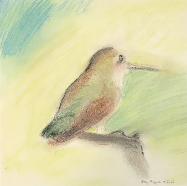 Hummingbird by Amy Bryan
