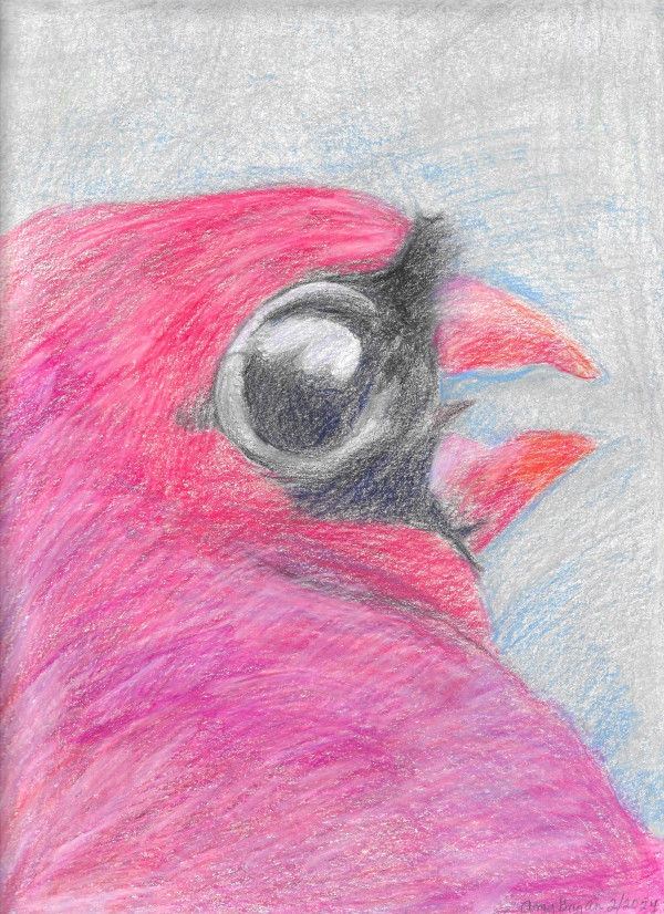 Red Cardinal Face by Amy Bryan