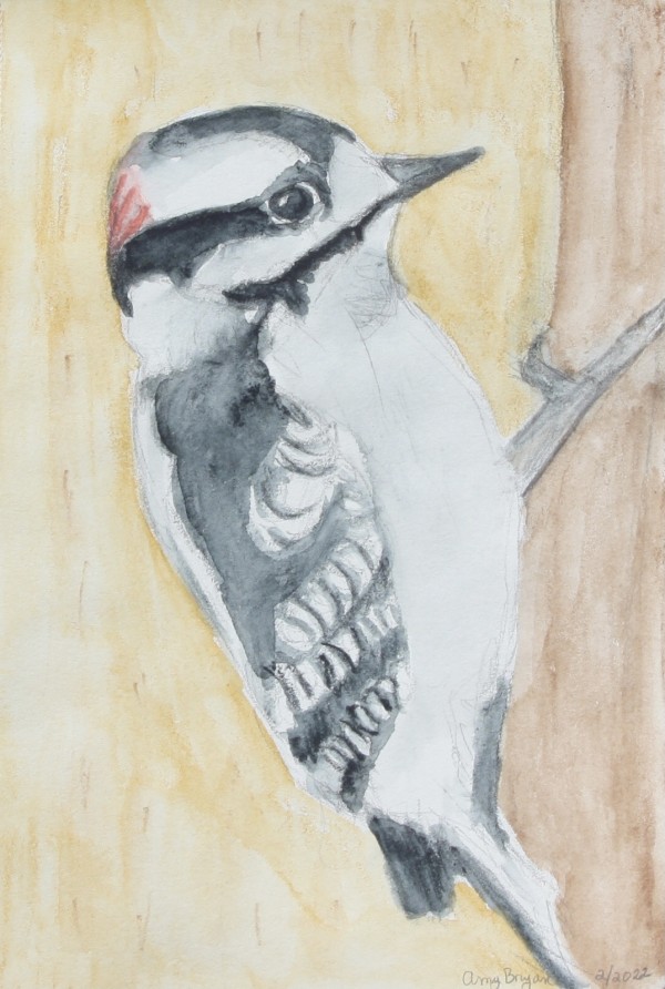 Woodpecker by Amy Bryan