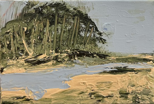 Nauset Marsh in Abstract by Artnova Gallery