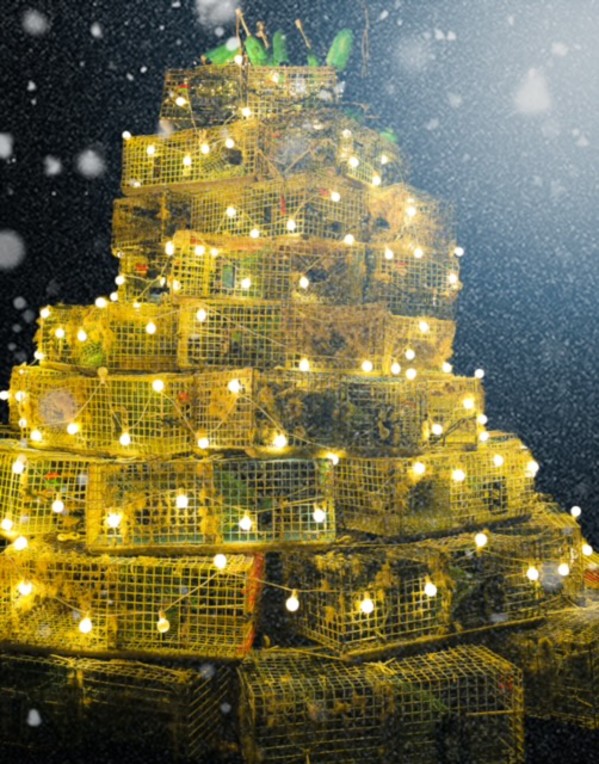 Lobster Tree by Artnova Gallery & Salt Studio