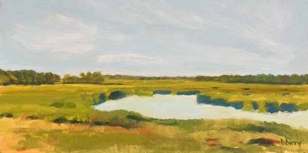 The Broad Marsh by Artnova Gallery