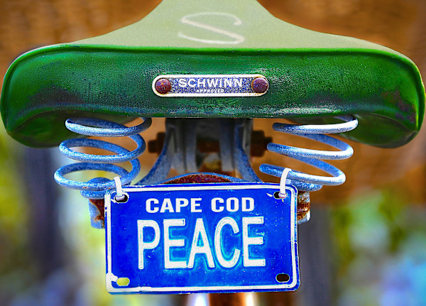 Cape Cod Peace by Artnova Gallery