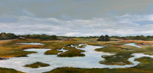 Cockle Cove Marsh by Artnova Gallery & Salt Studio