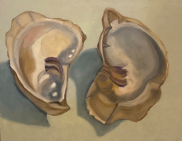 Oyster Shell Pair by Artnova Gallery & Salt Studio