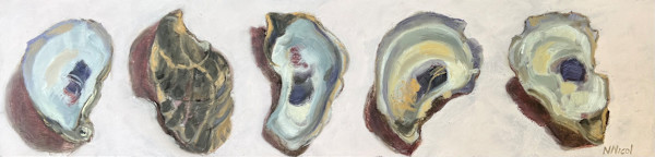 Five Oysters on Blush by Artnova Gallery & Salt Studio