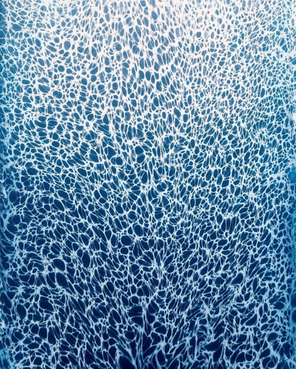 Ocean Lace by Artnova Gallery & Salt Studio, Image 1.
