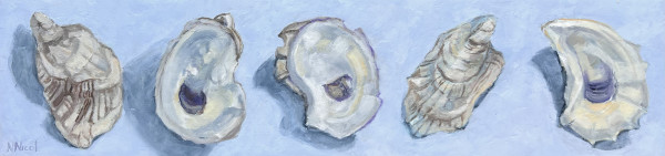 5 Shells by Artnova Gallery